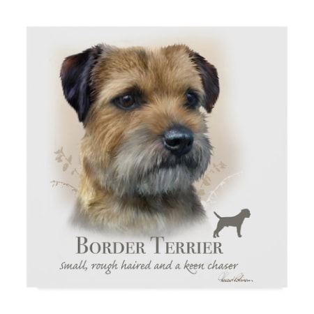 Howard Robinson 'Border Terrier' Canvas Art,24x24